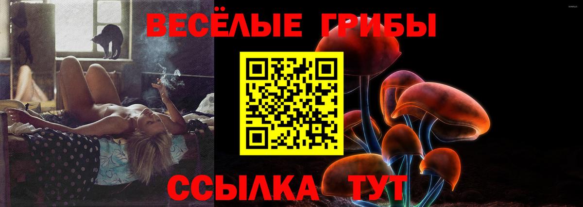 Тайшет  Галлюциногенные грибы GOLDEN TEACHER  Вход с VPN 